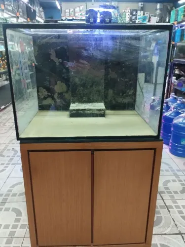 Aquário para marinho