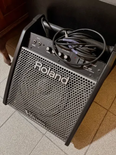 ROLAND PM-100 | AMPLIFICADOR 110V