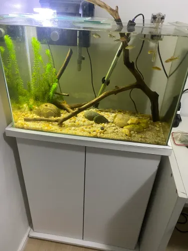 Aquario 72 litros com móvel 
