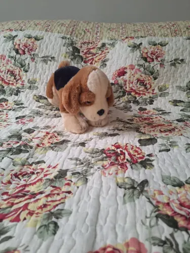 Pelúcia de Cachorrinho - Fofo!