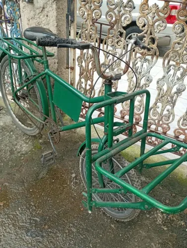 Bicicleta cargueira
