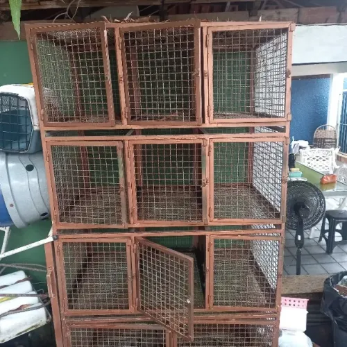 Gaiola de cachorro