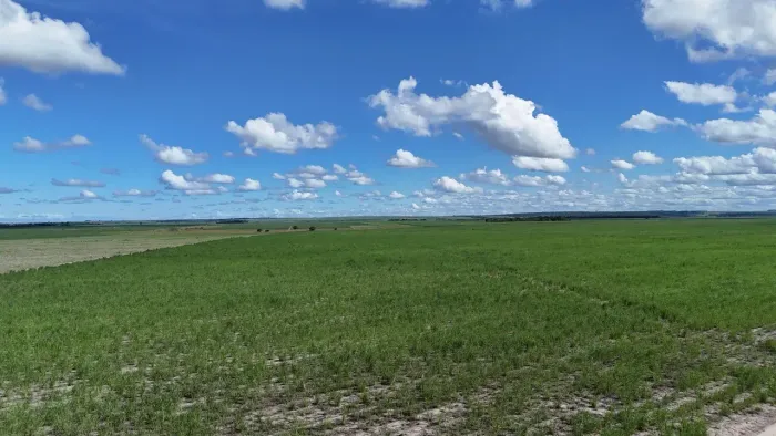 ÁREA À VENDA NA BR-230 | CRUZ DO ESPÍRITO SANTO PB