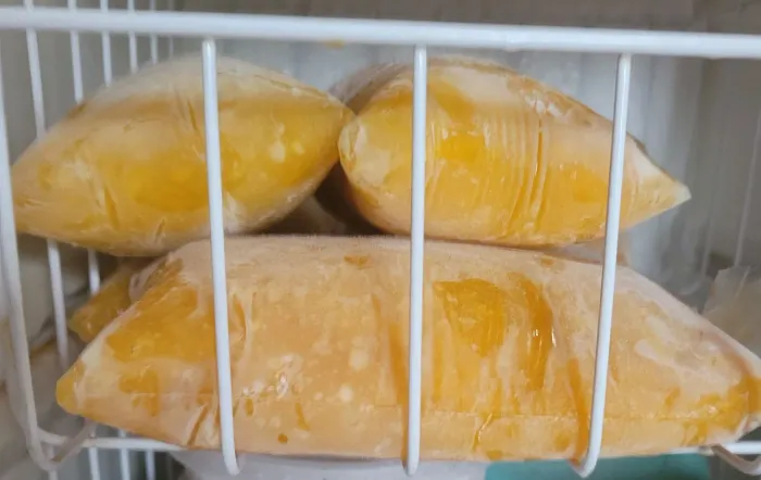 Polpa de manga sem agrotóxicos 