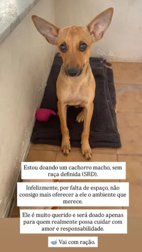 Doação