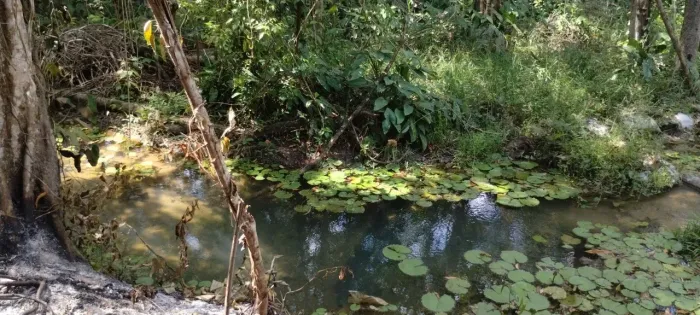 Vendo com olho d'água.