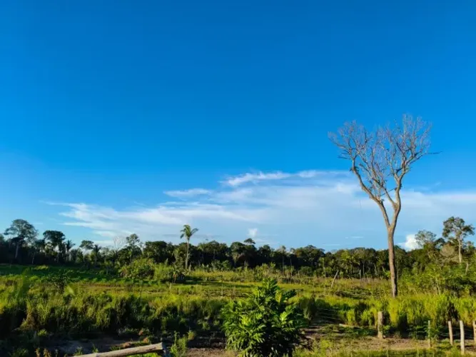 Vende-se sítio com 138 alqueires