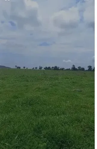 fazenda de 110 alqueres, no município de Jussara no estado de Goiás