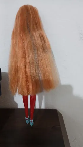 Barbie rever collor,  possui pequeno defeito no cabelo ve sapato bao e original 