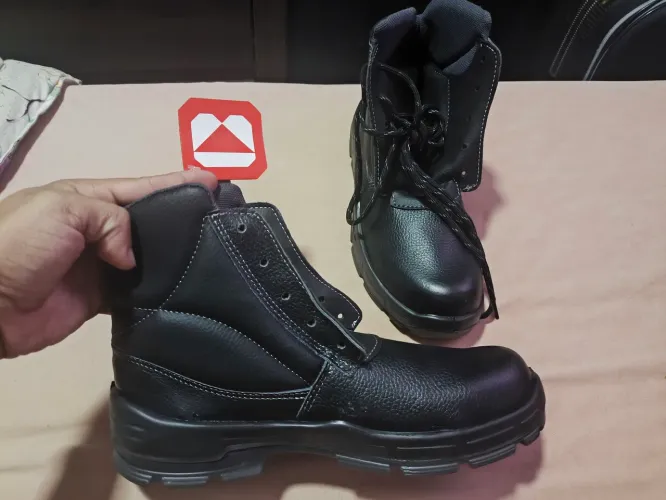 Bota 