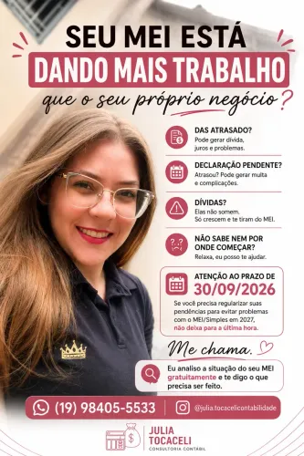 Consultoria MEI