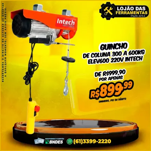 Guincho de Coluna 300 a 600kg Elev600 220v Intech