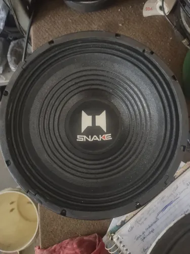 Médio de 10" 250W 8? reformado