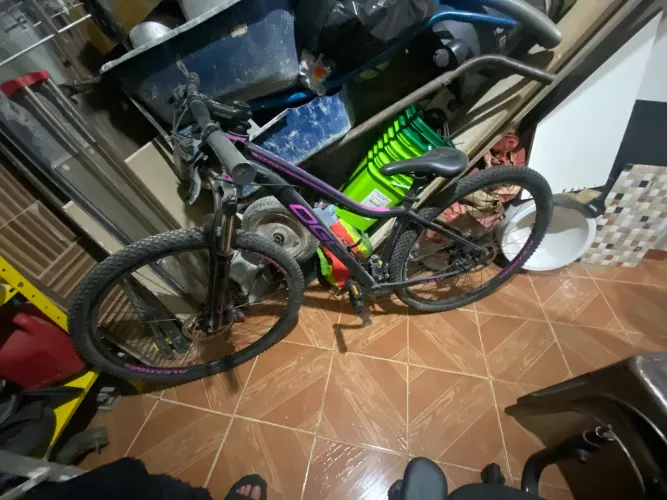 Bicicleta