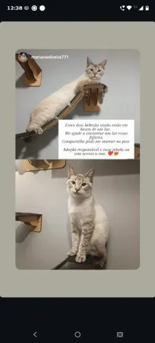 Doação 