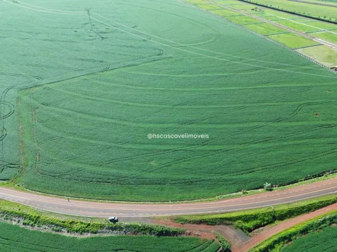 Área à venda, 1.5 alqueire - em frente a Chácara FotoClique- Cascavel/PR