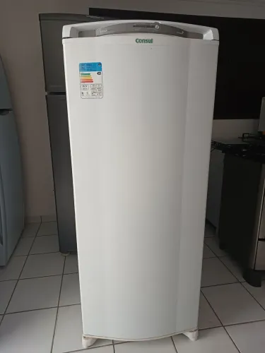 Geladeira frost free facilit ótimas condições