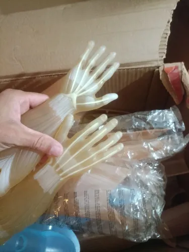 Esqueleto parte muscular nova com órgãos 