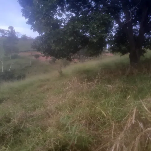 Terreno de 10 mil metros em azurita