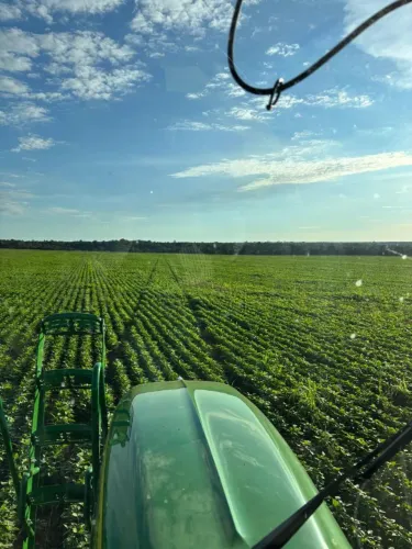 Fazenda de arrendamento 1.100hec em Barrolandia, Miranorte TO.