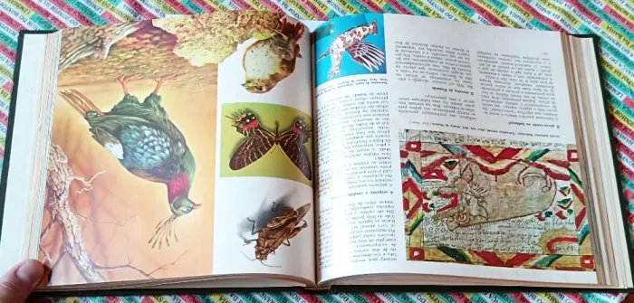Livro Naturama fascículo único