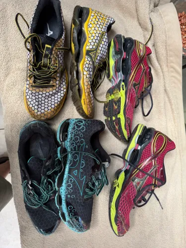Mizuno Prophecy