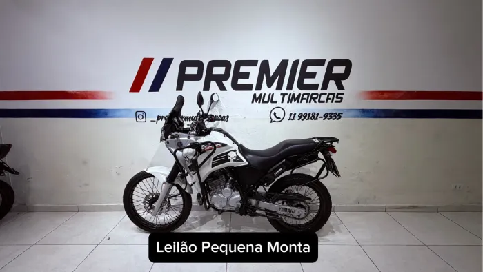 Yamaha Xtz 250 Tenere/Tenere Blueflex