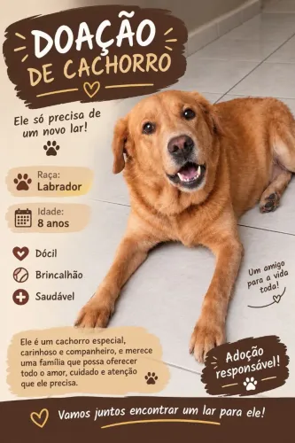 Doação de cachorro