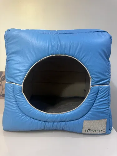 Casinha caminha para Pet 