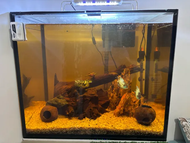 Aquário 120L