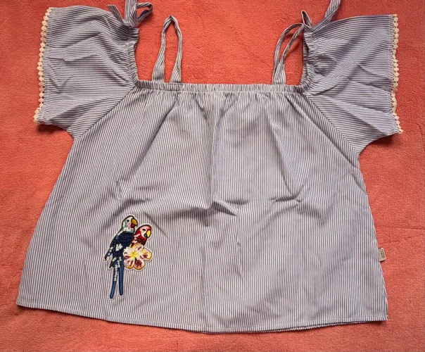 OPORTUNIDADE EXCELENTE- Blusa infantil listrada azul com bordado de araras - Tam. 8