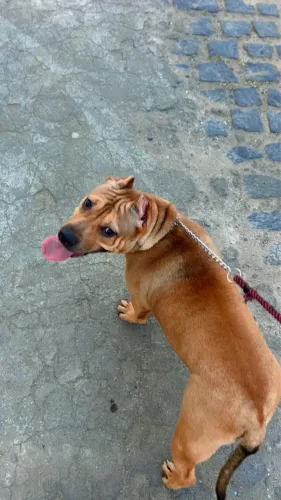 Pit monster