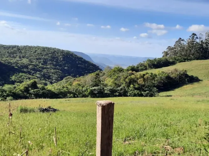 ? Terreno rural de 5 hectares com vista privilegiada em Silveira Martins