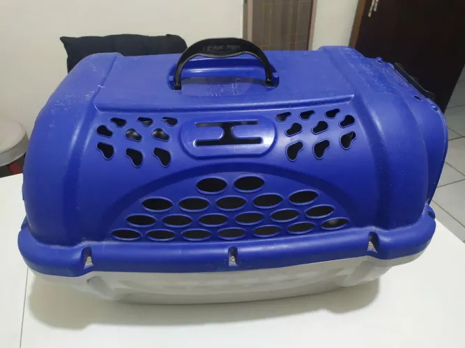 Vendo apenas