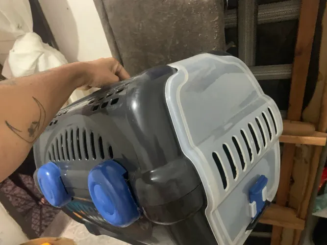 Caixa de cachorro/gato
