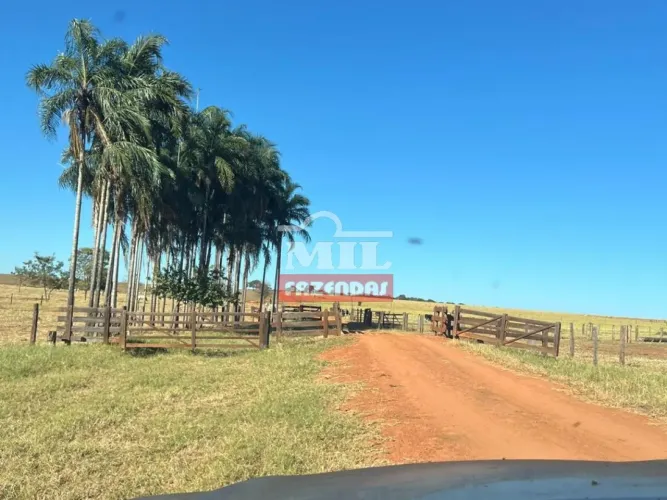 Fazenda em Quirinópolis - GO 330 Alqueires (1.597 Hectares).