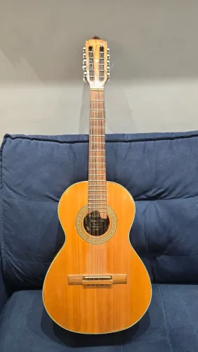 Viola 10 cordas 