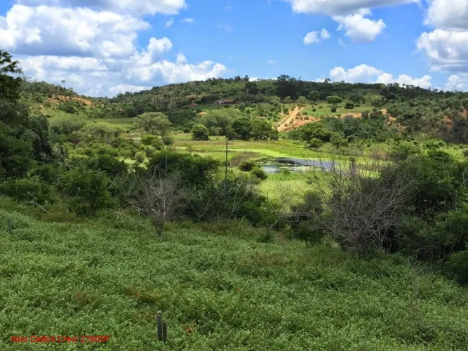 FAZENDA RURAL em IBIQUERA - BA, CHAPADA DIAMANTINA