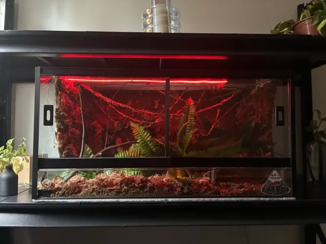 Terrario 100x50x50