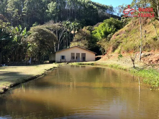 Fazenda com 3 dormitórios à venda, 1089000 m² por R$ 2.500.000,00 - Roseira - Roseira/SP