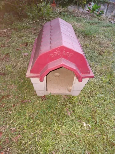 Casinha de cachorro