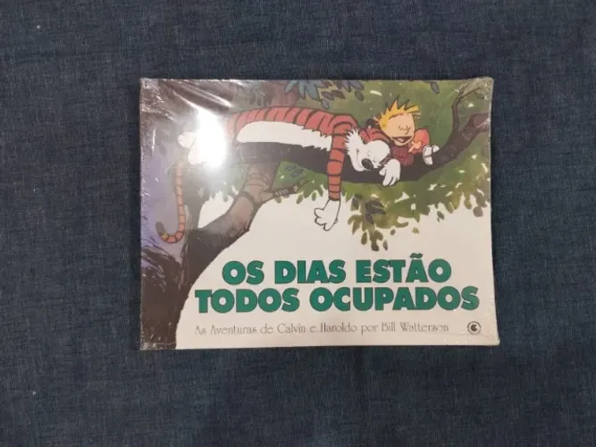 CALVIN & HAROLDO - Os dias estão todos ocupados - VOLUME 09