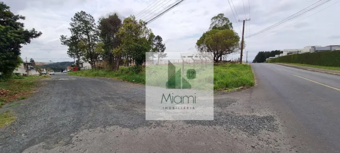 Terreno à venda, 3523 m² por R$ 2.994.975,00 - Jardim Carvalho - Ponta Grossa/PR