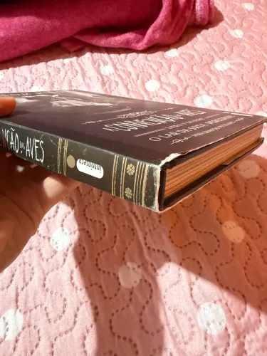 O LAR DAS CRIANÇAS PECULIARES