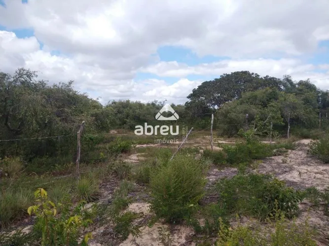 Sem Tipo Terreno em Nísia Floresta