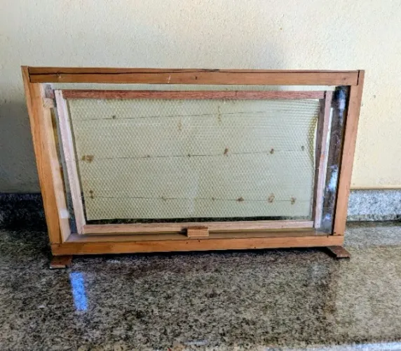 Expositor de enxame de abelhas
