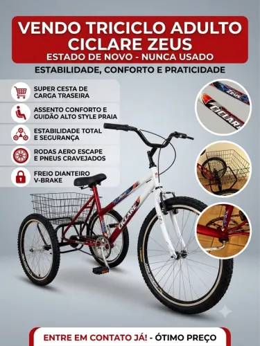 Bicicleta Triciclo - Aro 24