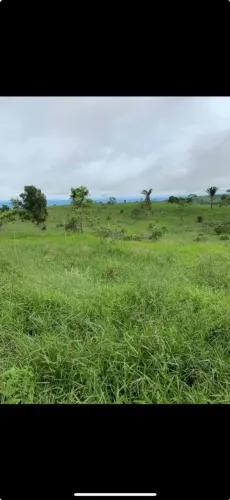 Fazenda 48hectares - São Félix de Minas