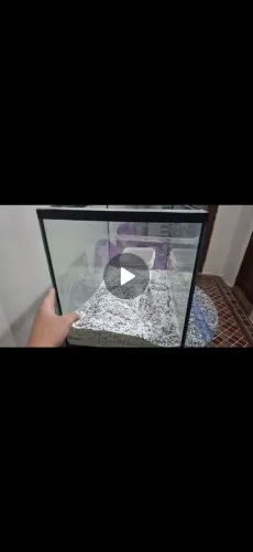 Aquário 100litros