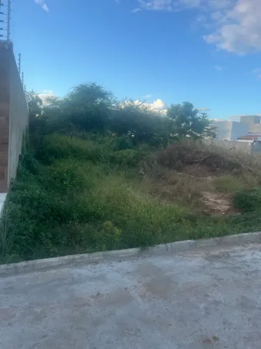 Terreno na Rua Zuza Lino